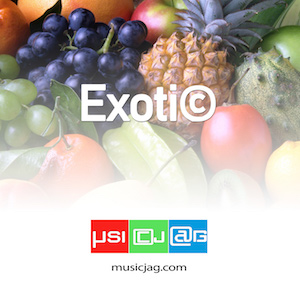 Mood Exotic. Travel all over the world using very diverse ethnic instruments. Didgeridoo, duduk, zokra, balafon, ney, qanun, kemanche, chagane, dobro, tampoura, tabla ...