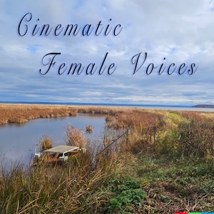 These 11 tracks feature cinematic, mystical, and atmospheric music, ranging from neoclassical and electronic to darkwave and folktronica, dominated by enchanting female or choral vocals and backed by synth pads, strings, or harp.