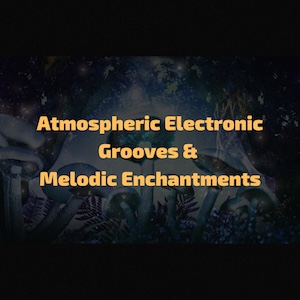 Atmospheric Electronic Grooves and Melodic Enchantments.
